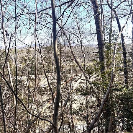 2.18 Acres of Residential Land for Sale in Whittier, North Carolina