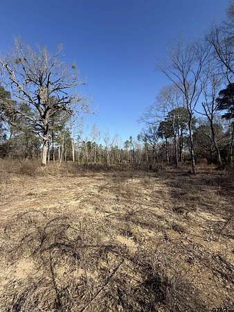 2.77 Acres of Residential Land for Sale in Overton, Texas