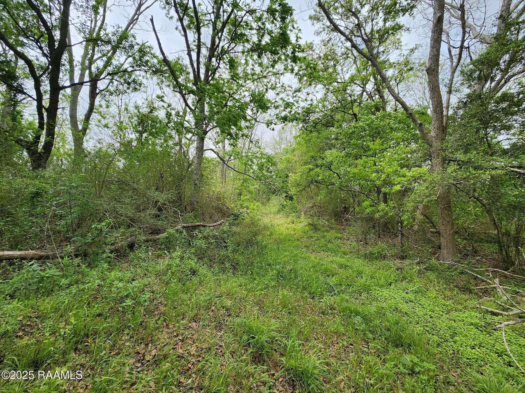11.7 Acres of Recreational Land for Sale in Kaplan, Louisiana
