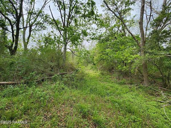 11.7 Acres of Recreational Land for Sale in Kaplan, Louisiana