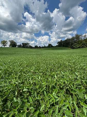 30.1 Acres of Land for Sale in Corydon, Indiana