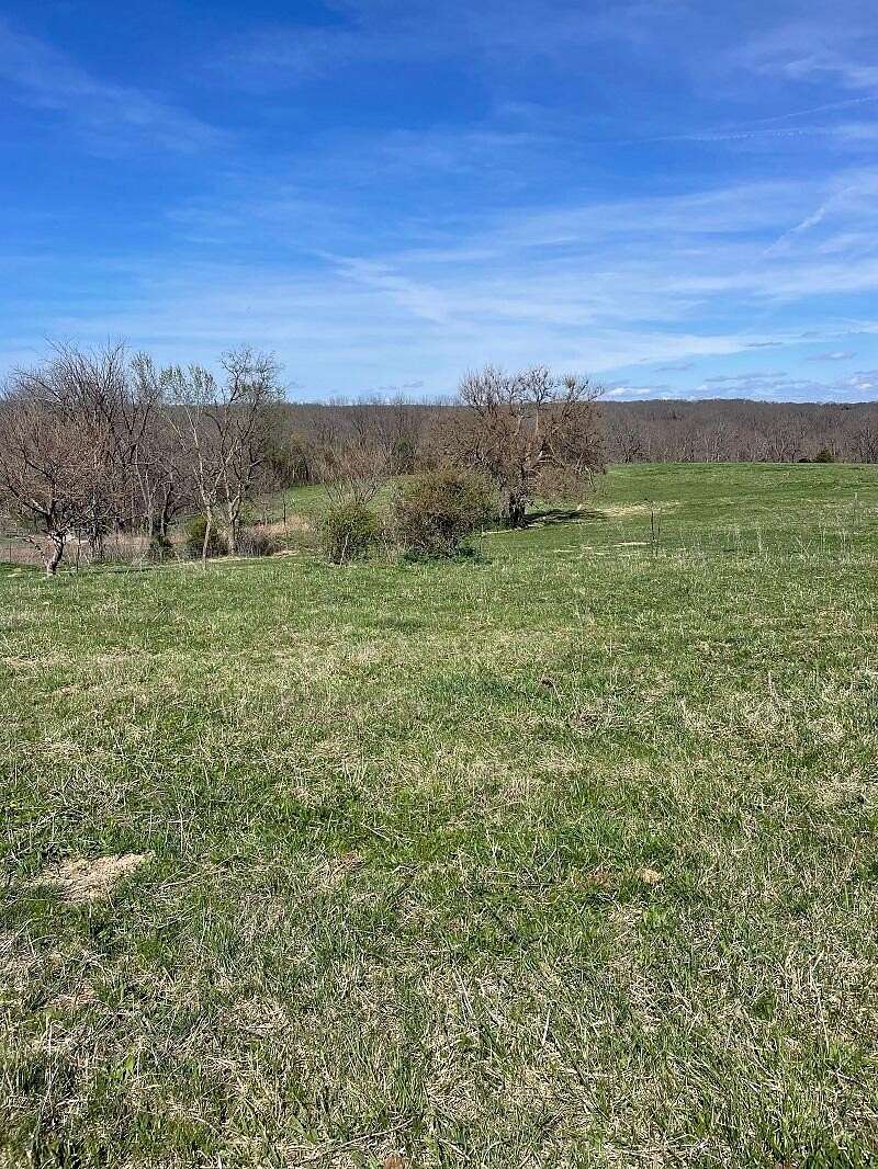 32 Acres of Land for Sale in Clever, Missouri