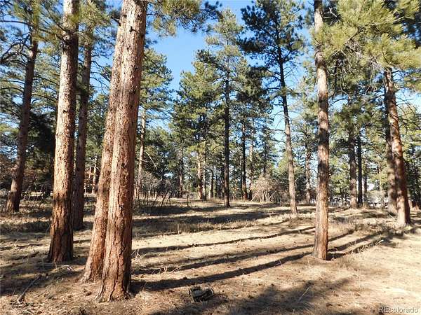 1 Acre of Residential Land for Sale in Larkspur, Colorado