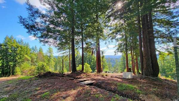 40 Acres of Recreational & Residential Land for Sale in Comptche, California
