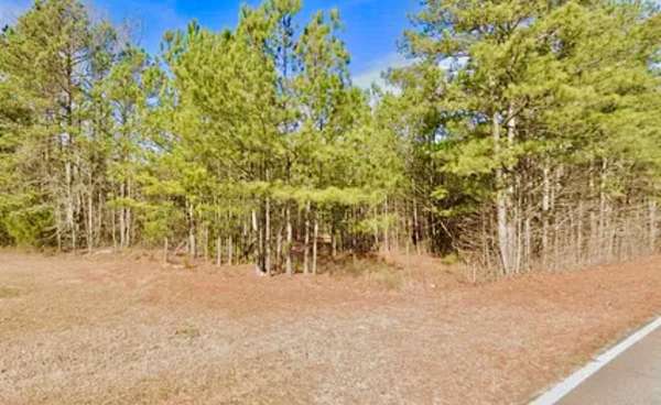 0.45 Acres of Residential Land for Sale in Villa Rica, Georgia