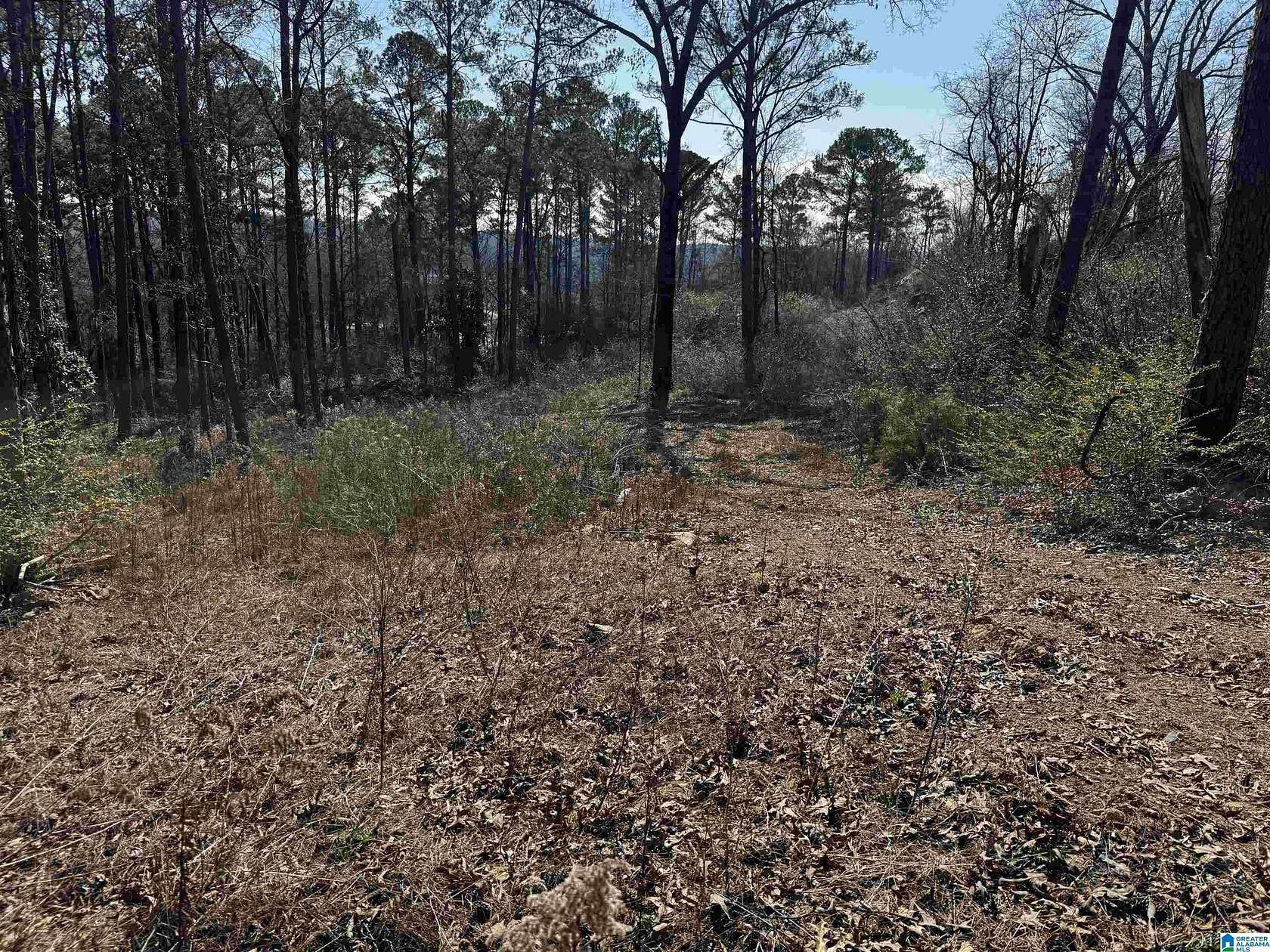 7.73 Acres of Residential Land for Sale in Birmingham, Alabama