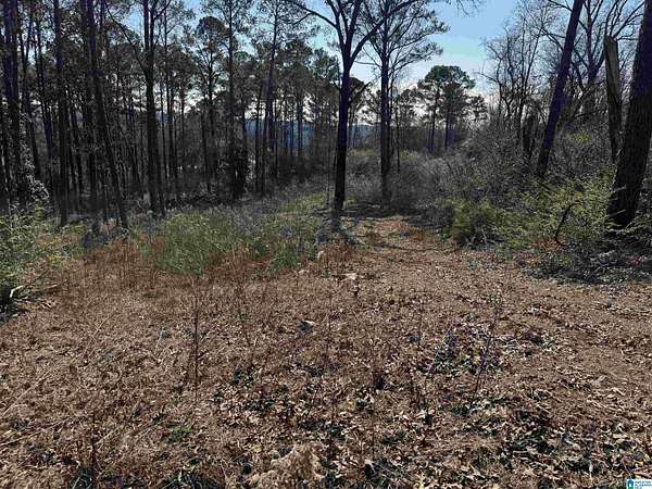 7.73 Acres of Residential Land for Sale in Birmingham, Alabama