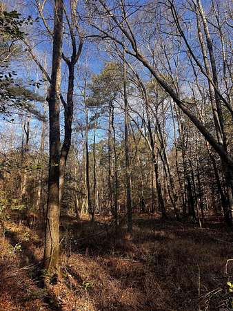 19 Acres of Land for Sale in Camden, Arkansas