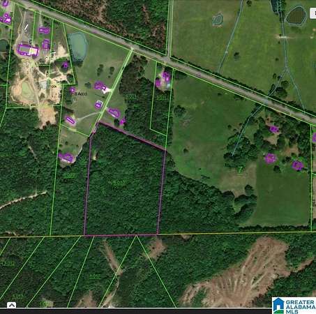 14 Acres of Recreational & Residential Land for Sale in Piedmont, Alabama