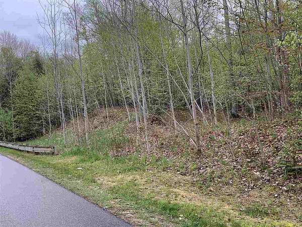 1 Acre of Residential Land for Sale in Petoskey, Michigan