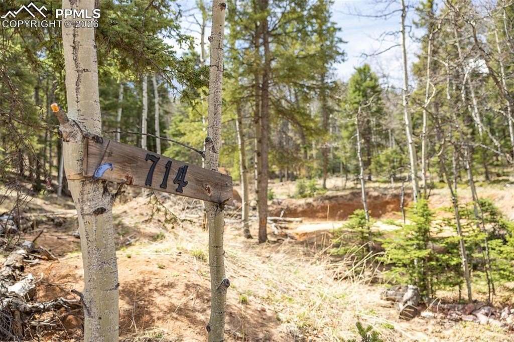 0.41 Acres of Residential Land for Sale in Divide, Colorado