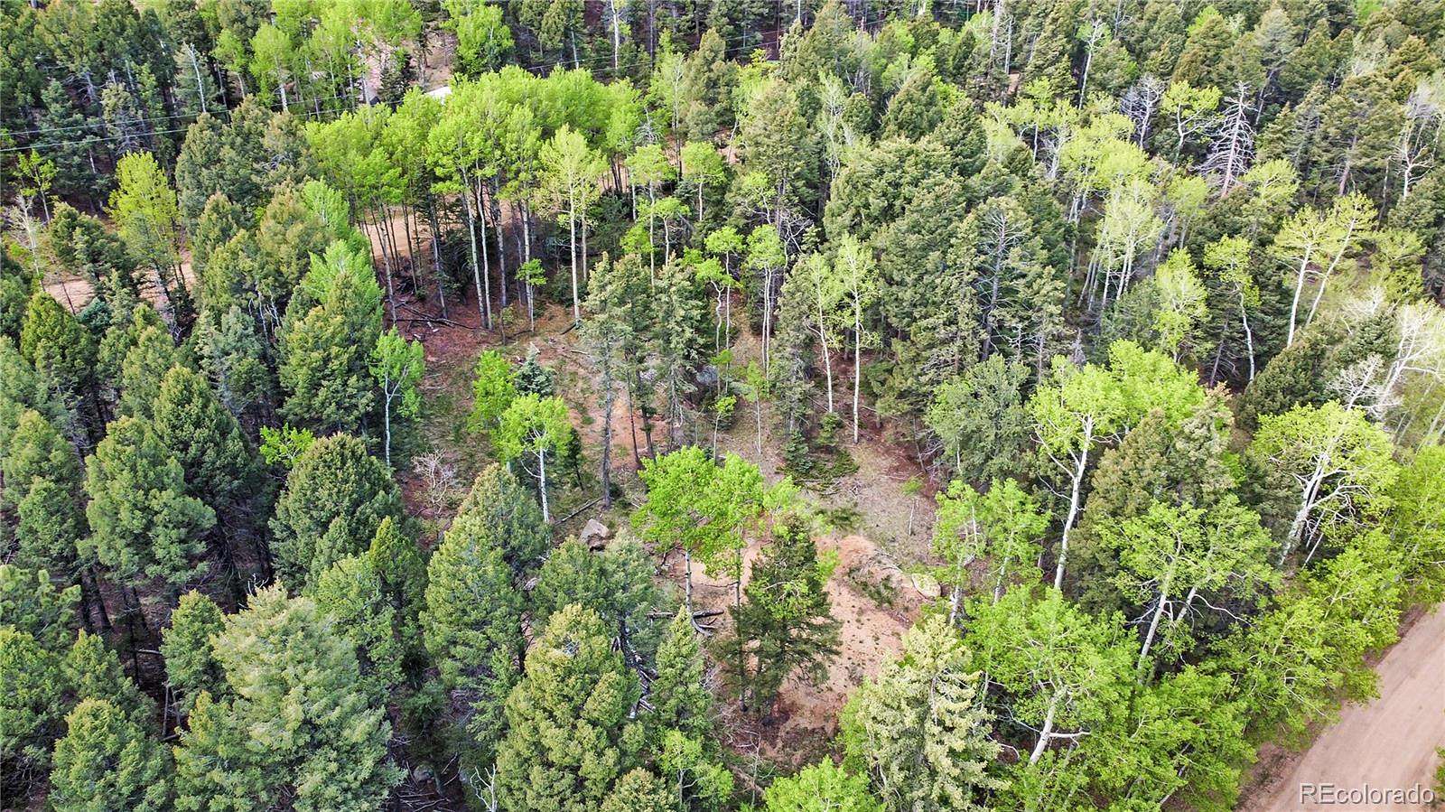 0.41 Acres of Residential Land for Sale in Divide, Colorado