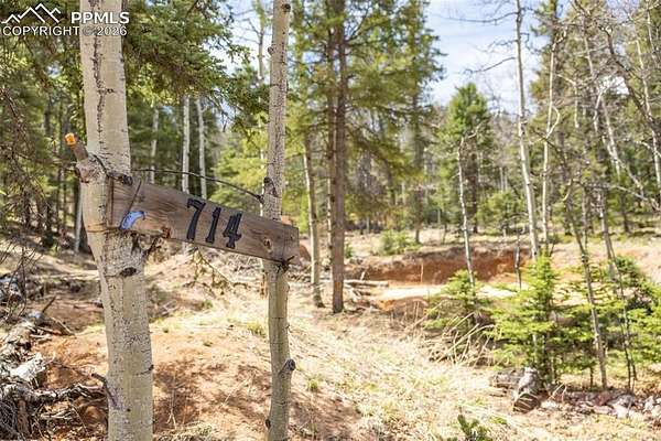 0.41 Acres of Residential Land for Sale in Divide, Colorado