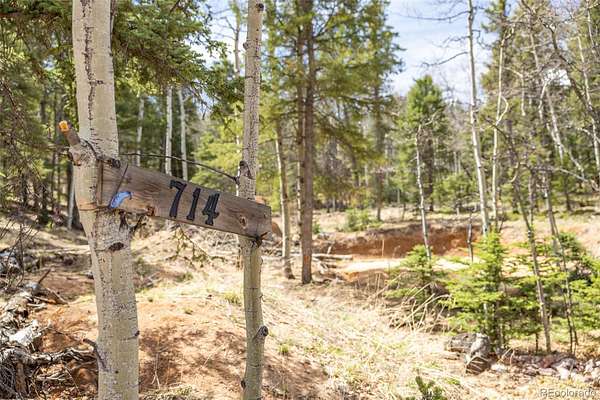 0.41 Acres of Residential Land for Sale in Divide, Colorado