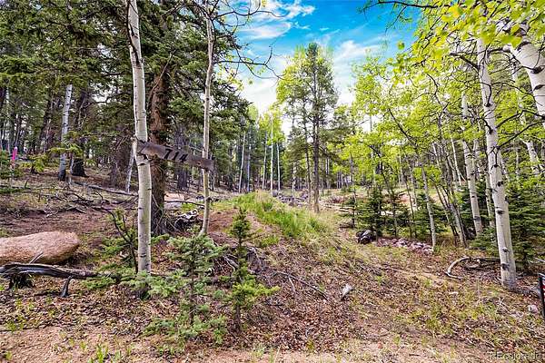 0.41 Acres of Residential Land for Sale in Divide, Colorado