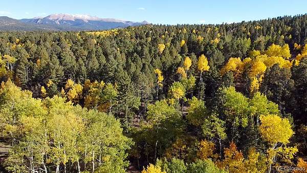 0.41 Acres of Residential Land for Sale in Divide, Colorado