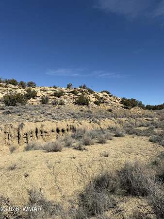 37 Acres of Recreational & Residential Land for Sale in St. Johns, Arizona