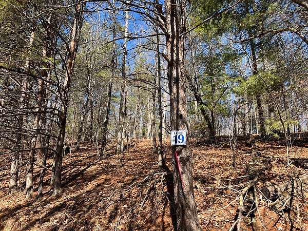 3.19 Acres of Residential Land for Sale in Hayesville, North Carolina