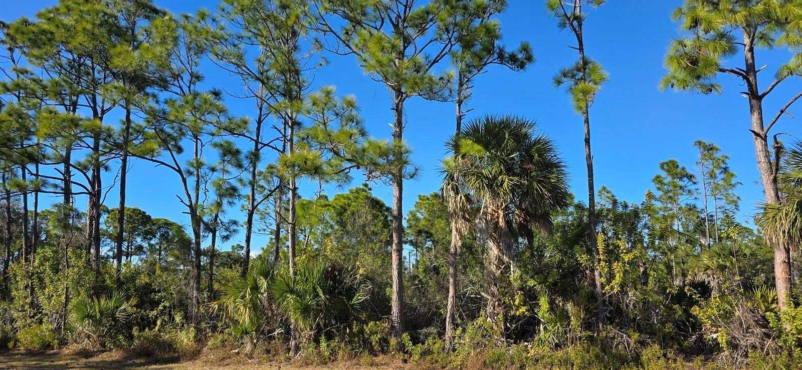 0.23 Acres of Residential Land for Sale in Port Charlotte, Florida