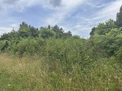 1.43 Acres of Residential Land for Sale in Speedwell, Tennessee