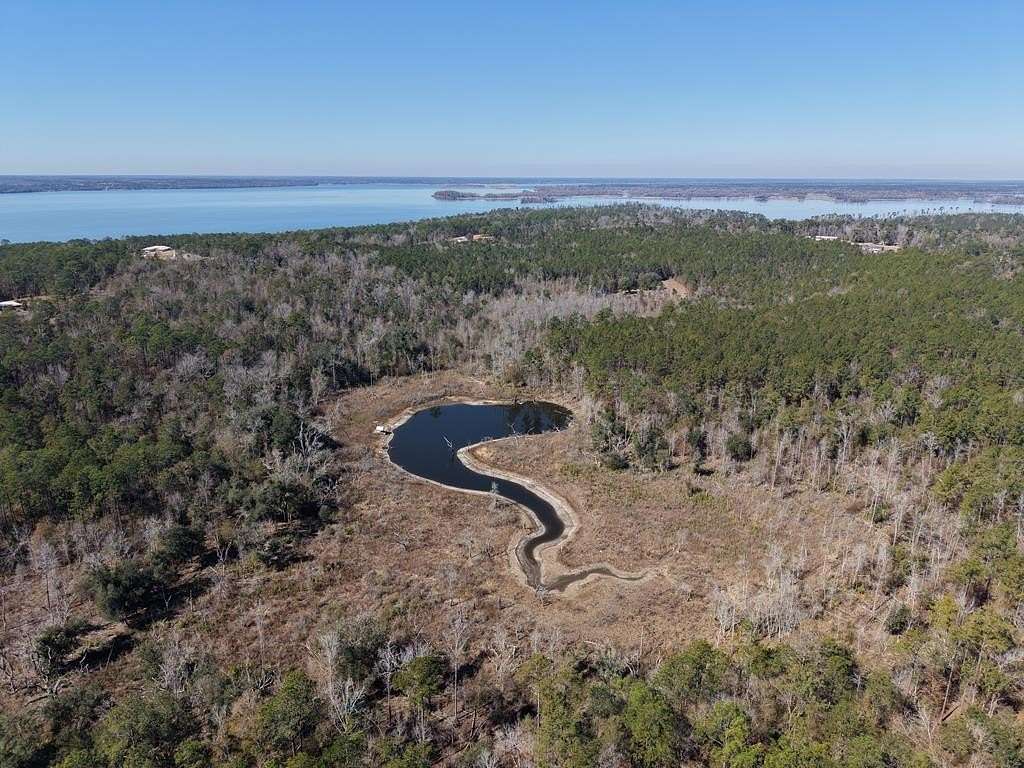 93 Acres of Land for Sale in Bainbridge, Georgia