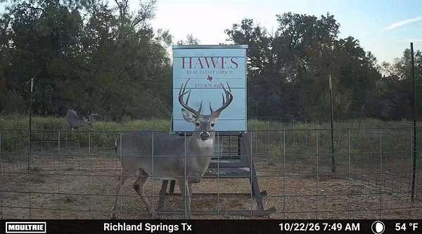 108 Acres of Land for Sale in Rochelle, Texas