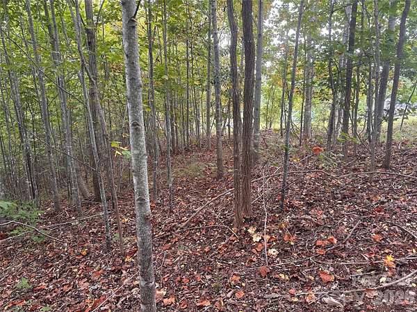 2 Acres of Residential Land for Sale in Nebo, North Carolina