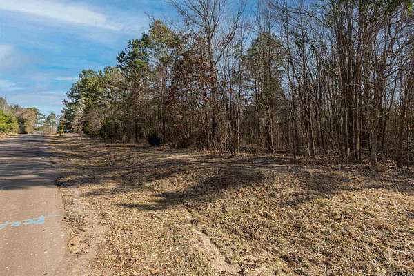18.7 Acres of Recreational & Residential Land for Sale in Winona, Texas