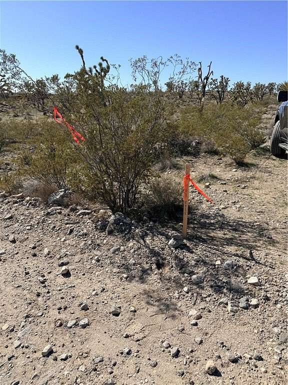 1 Acre of Residential Land for Sale in Dolan Springs, Arizona