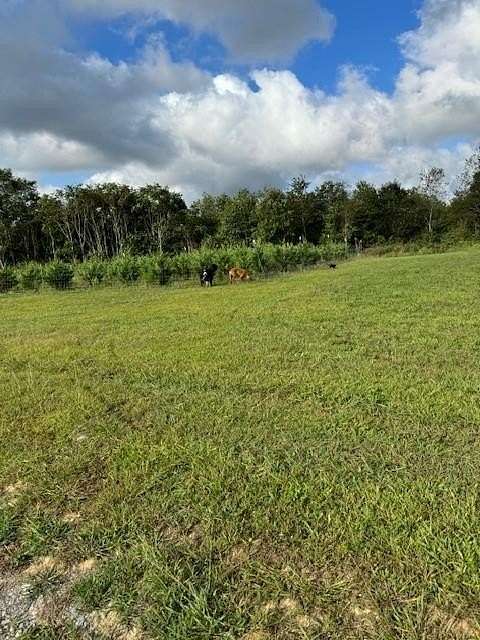 39 Acres of Land for Sale in Monterey, Tennessee