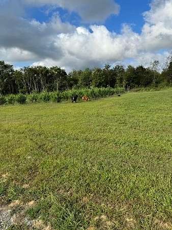 39 Acres of Land for Sale in Monterey, Tennessee