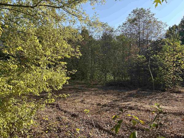 12 Acres of Land for Sale in Brownsboro, Texas