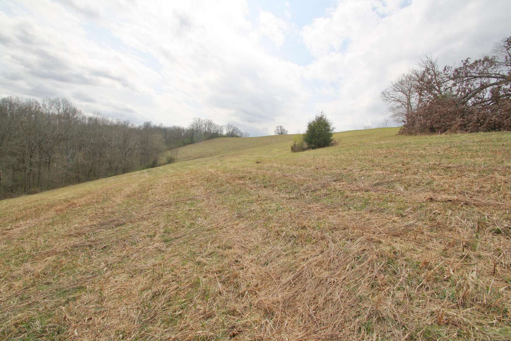 25 Acres of Land for Sale in Falmouth, Kentucky