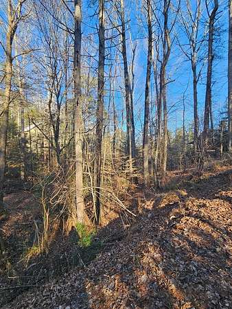 0.59 Acres of Land for Sale in Ellijay, Georgia