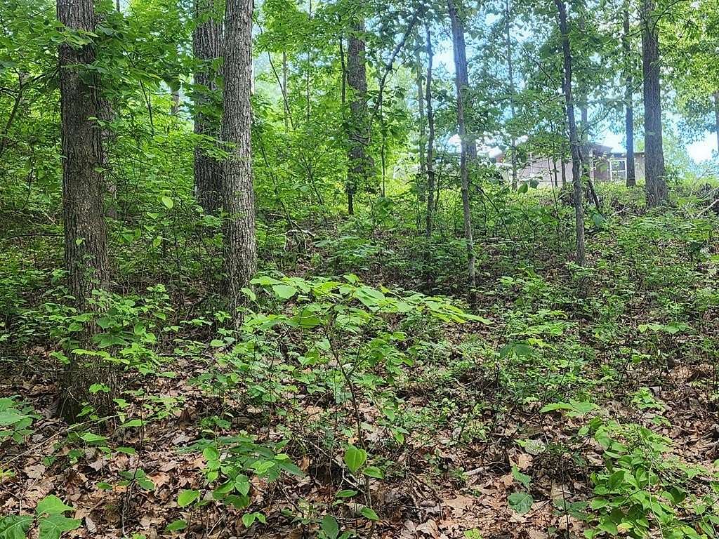 0.36 Acres of Residential Land for Sale in Holladay, Tennessee