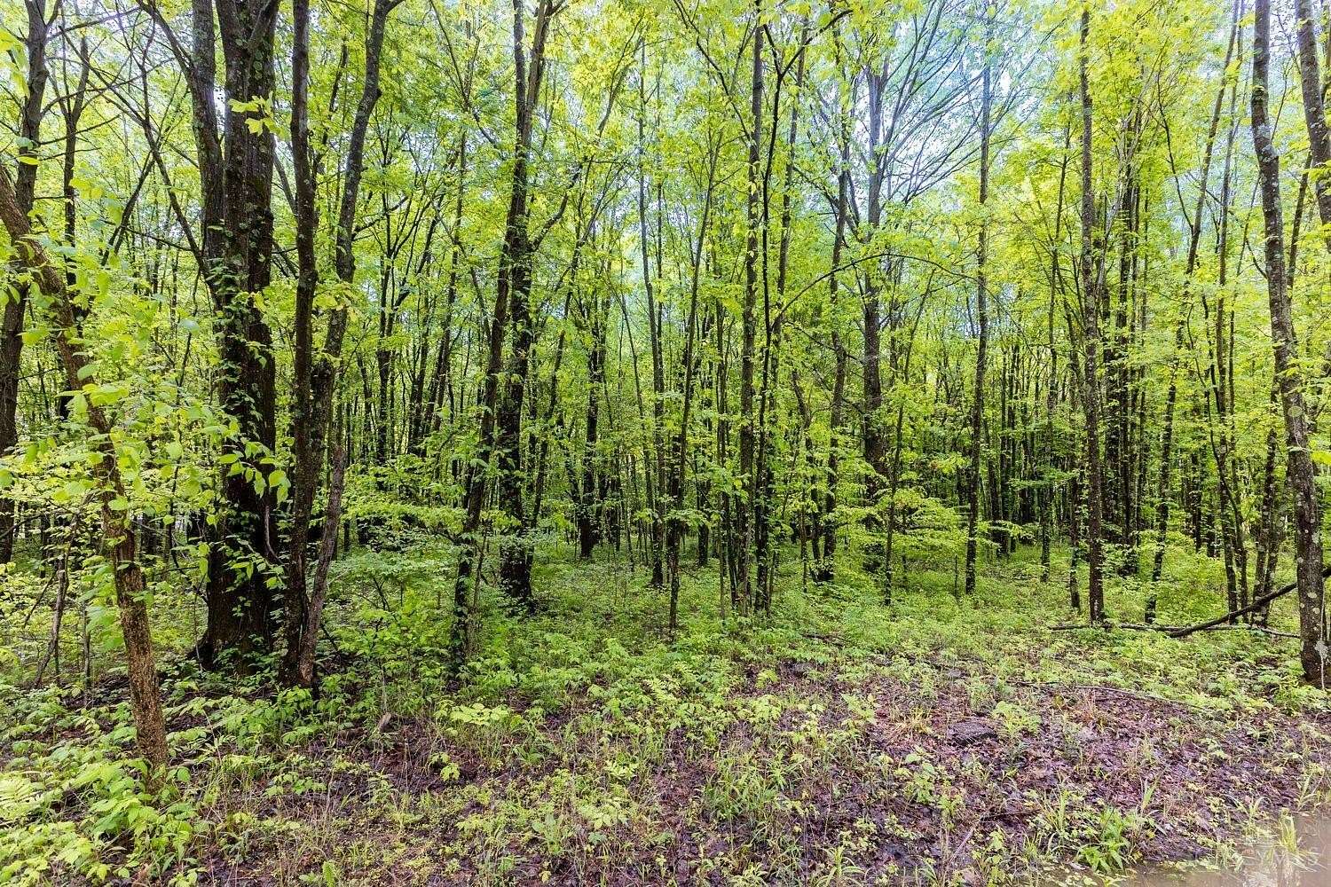 4.65 Acres of Residential Land for Sale in Stonelick Township, Ohio