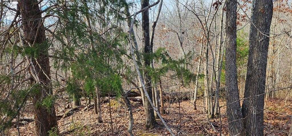 0.48 Acres of Residential Land for Sale in Holladay, Tennessee