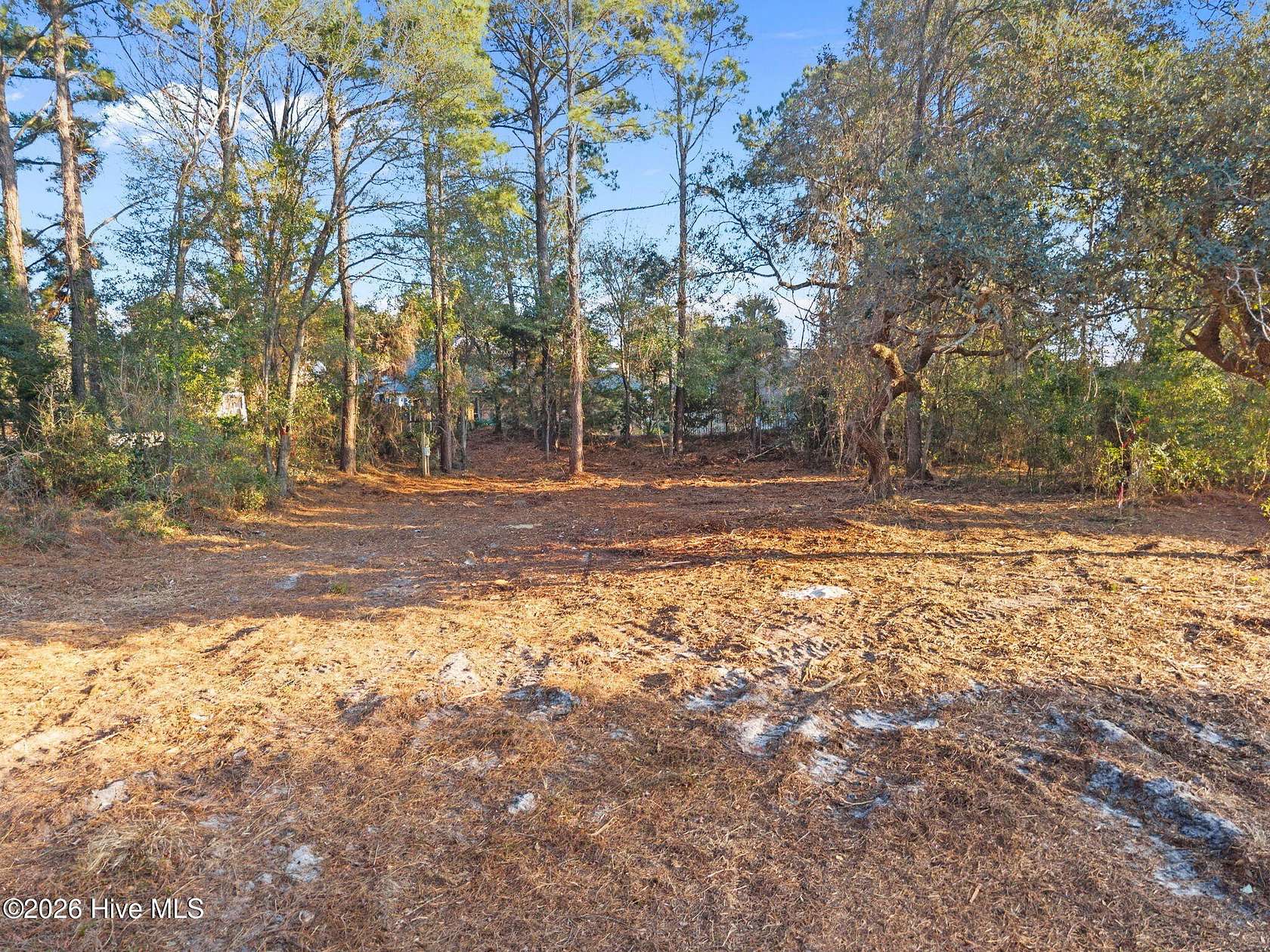0.26 Acres of Residential Land for Sale in Wilmington, North Carolina