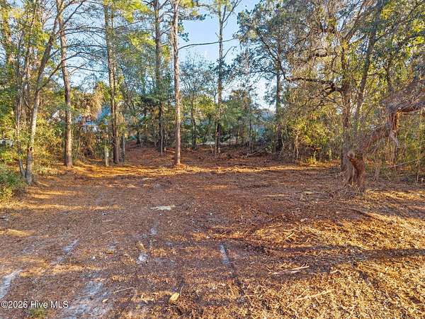 0.26 Acres of Residential Land for Sale in Wilmington, North Carolina