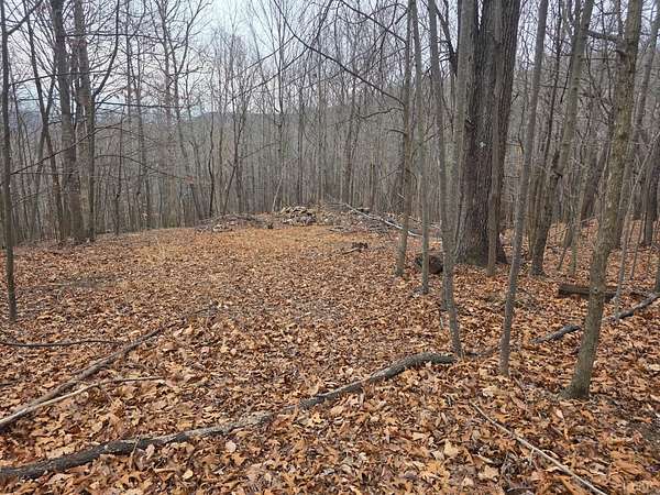 17.3 Acres of Land for Sale in Blue Ridge, Virginia