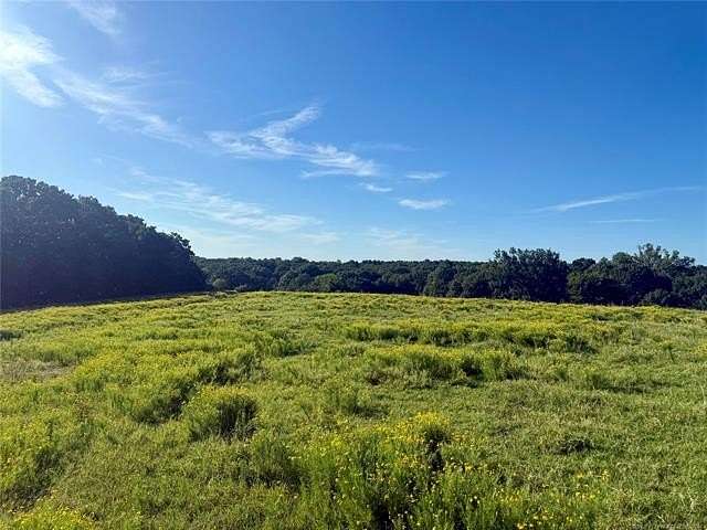 80 Acres of Land for Sale in Bristow, Oklahoma