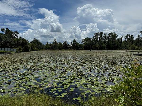 0.28 Acres of Residential Land for Sale in Donalsonville, Georgia