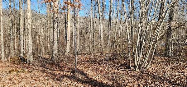 0.37 Acres of Residential Land for Sale in Holladay, Tennessee