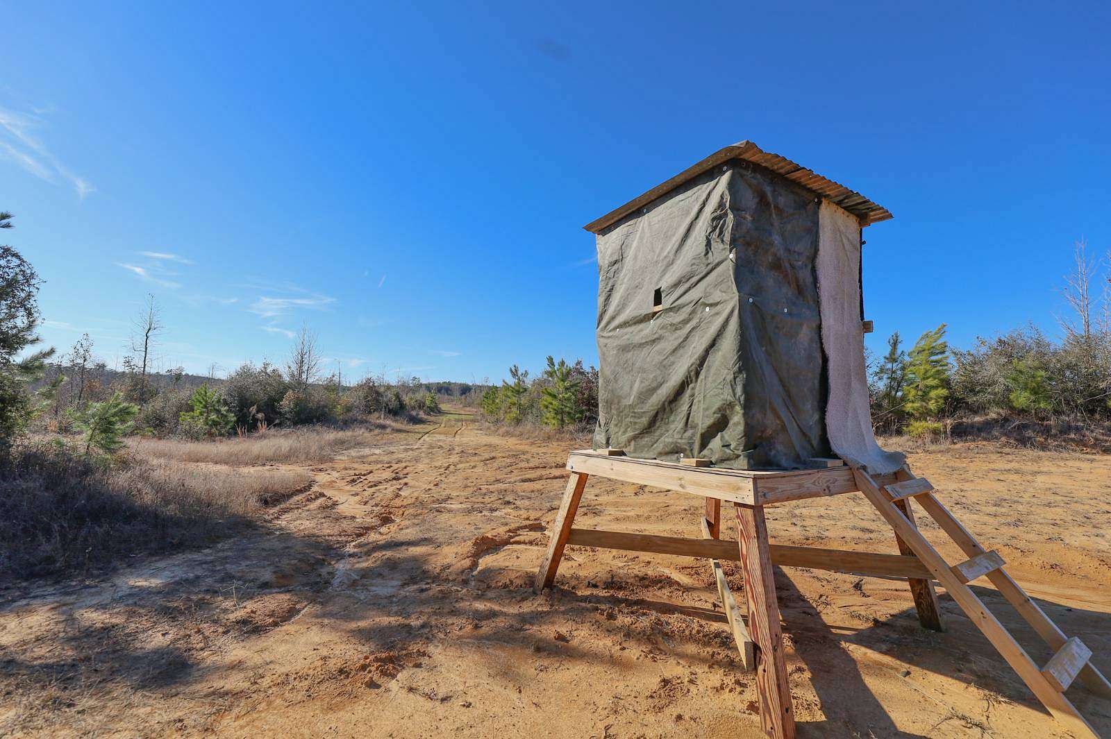 240 Acres of Land for Sale in Grayson, Louisiana