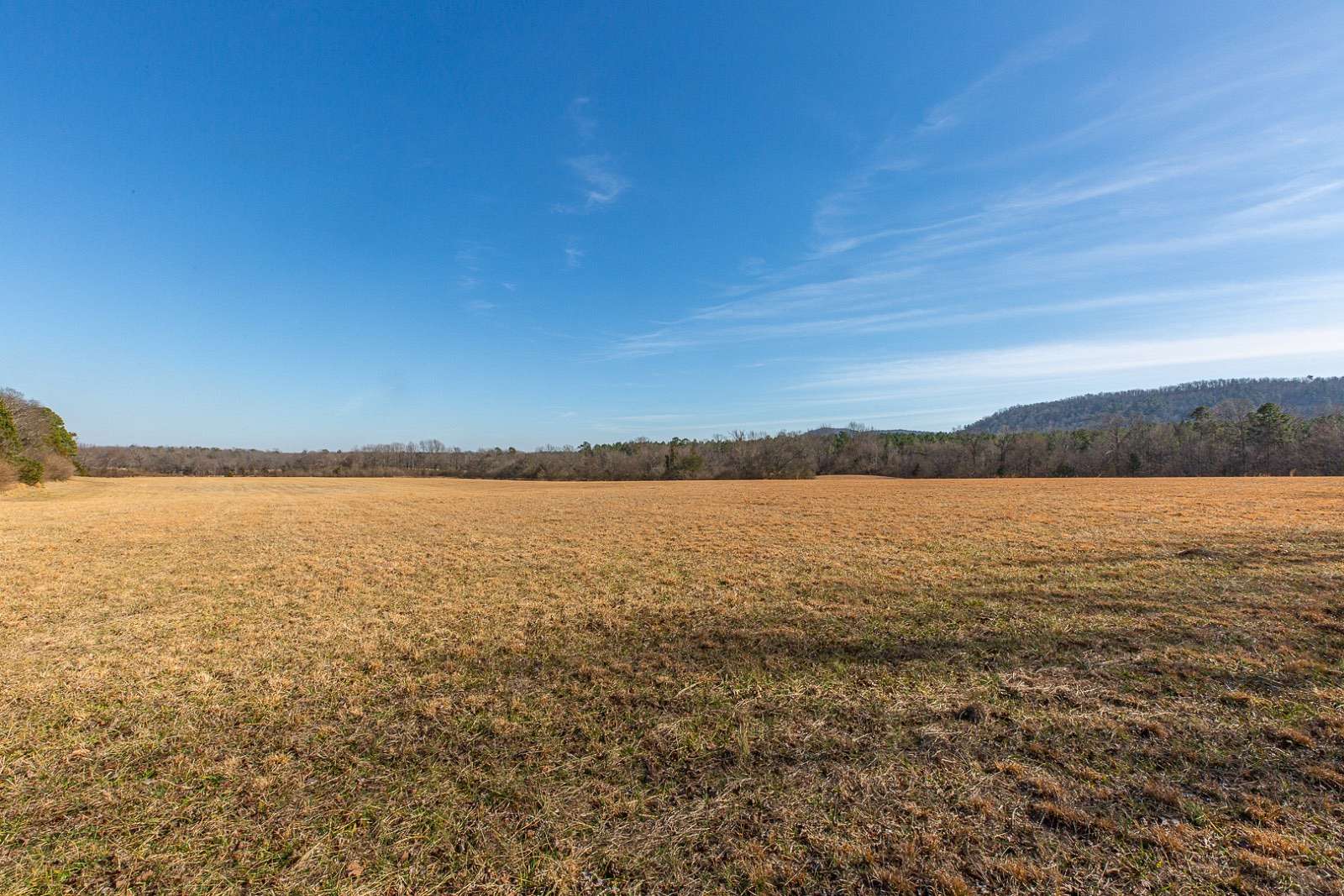 28 Acres of Land for Sale in Mena, Arkansas