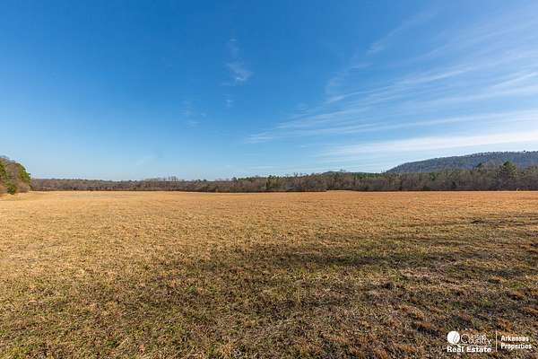 28 Acres of Land for Sale in Mena, Arkansas