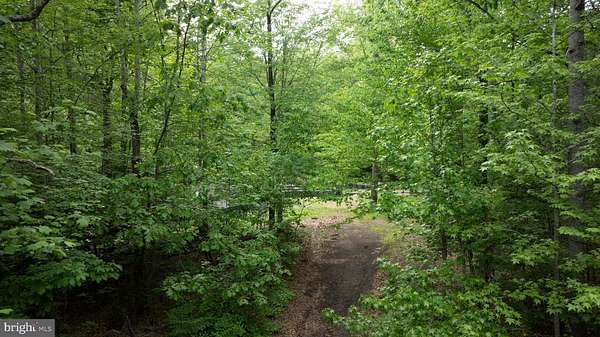 52.9 Acres of Recreational & Residential Land for Sale in Waldorf, Maryland