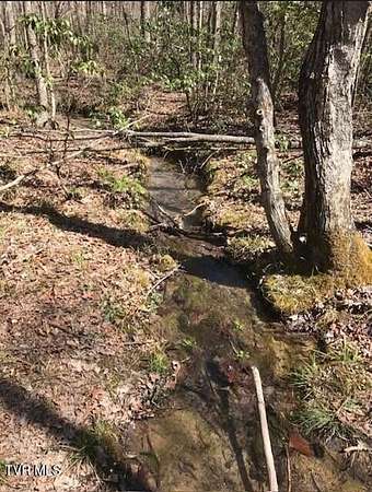 5.77 Acres of Residential Land for Sale in Wilder, Tennessee