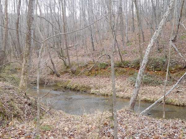 40.2 Acres of Recreational Land for Sale in Gaffney, South Carolina