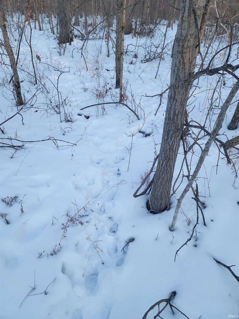 6.1 Acres of Residential Land for Sale in Portland, Indiana